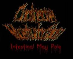 Chainsaw Masturbation : Intestinal May Pole